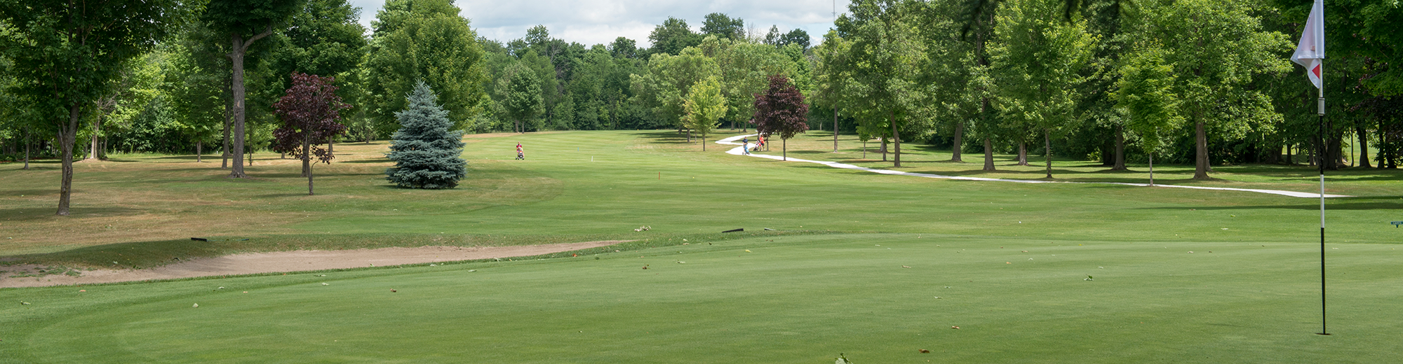 view of golf course