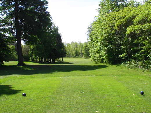 hole 12